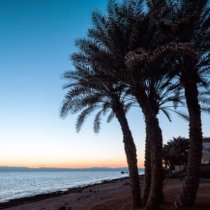 Coast of Red Sea, in Gulf of Aqaba, near Dahab.Egypt